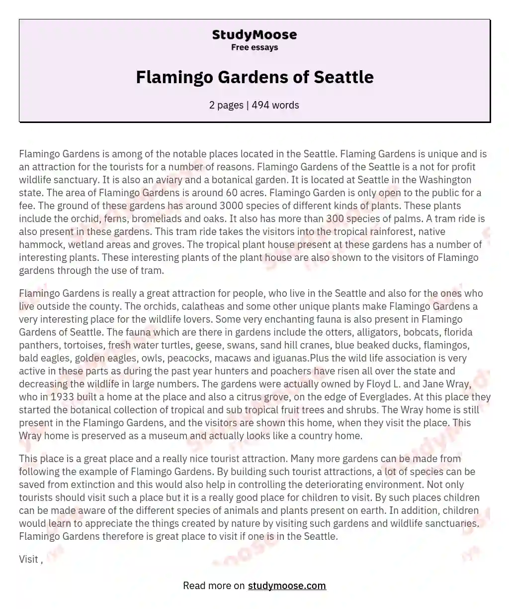 Flamingo Gardens of Seattle