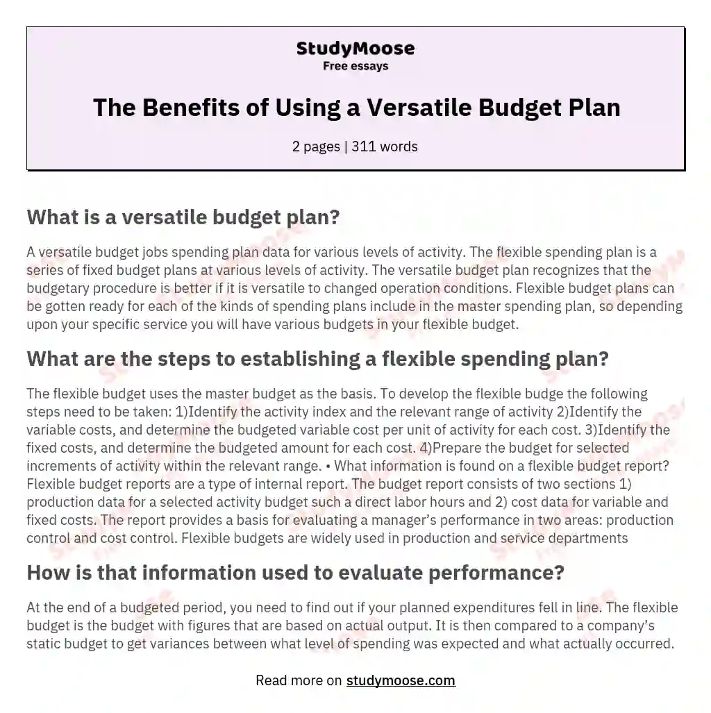 The Benefits of Using a Versatile Budget Plan essay
