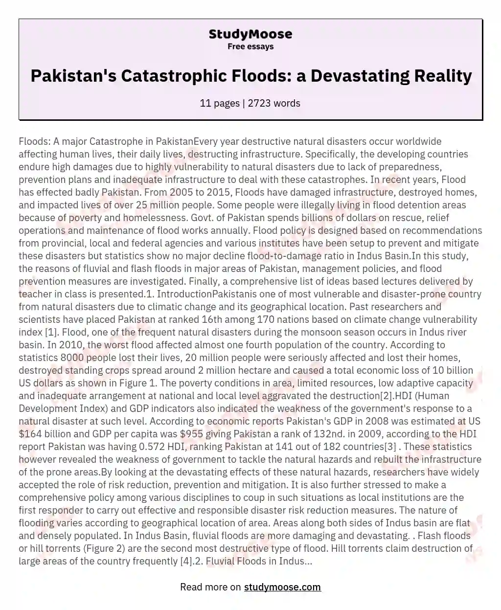 Pakistan's Catastrophic Floods: a Devastating Reality essay