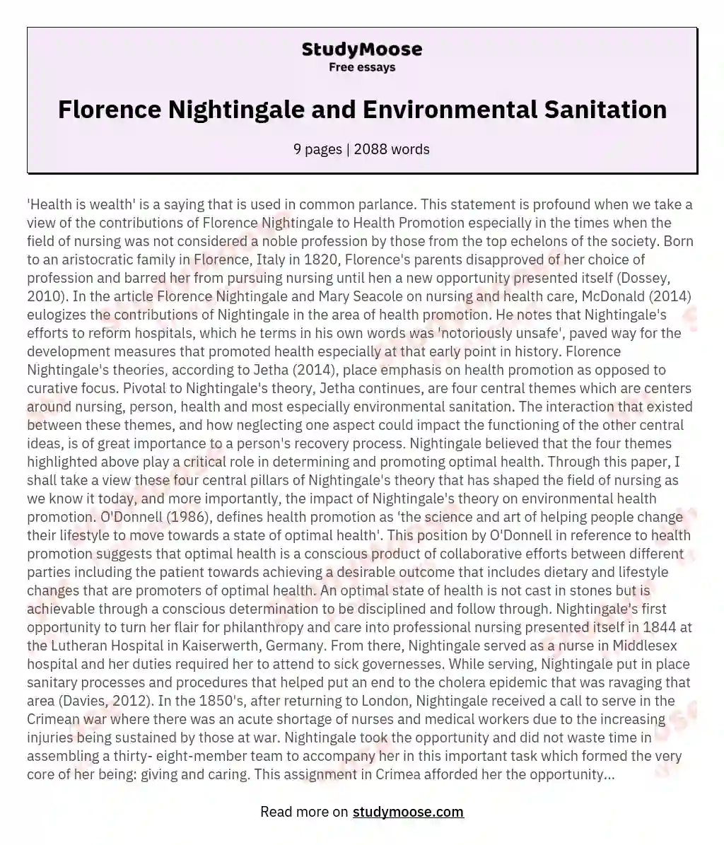 Florence Nightingale and Environmental Sanitation essay