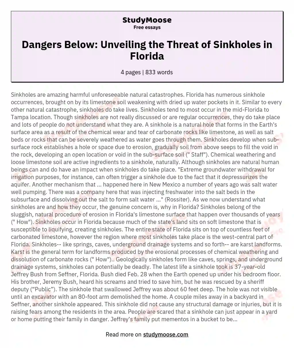 Dangers Below: Unveiling the Threat of Sinkholes in Florida essay