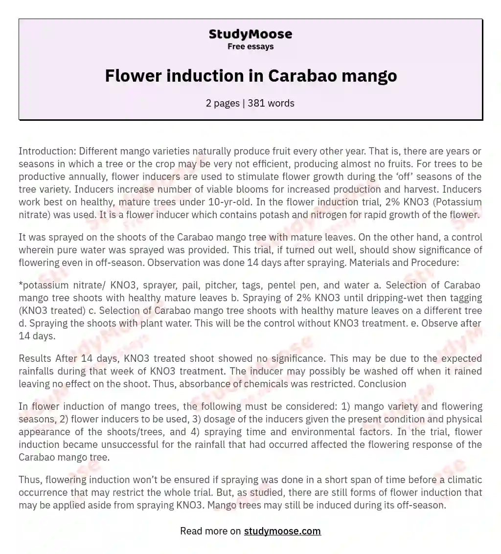 Flower induction in Carabao mango essay