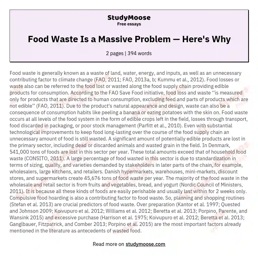 Food Waste Is a Massive Problem — Here's Why essay