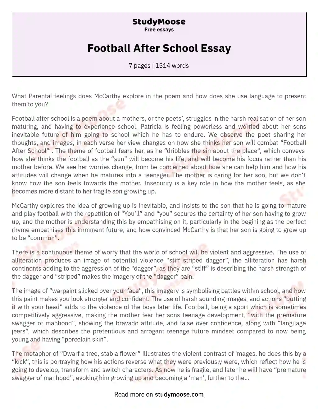 Football After School Essay essay