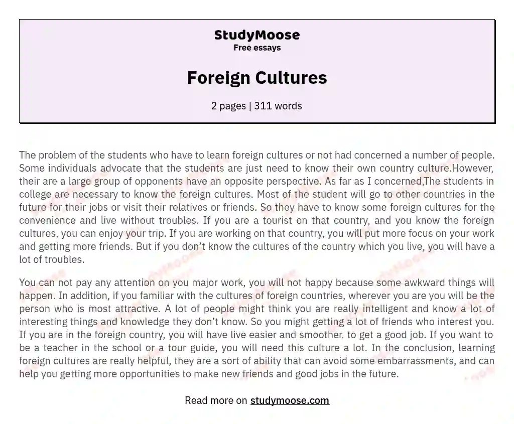 Foreign Cultures essay