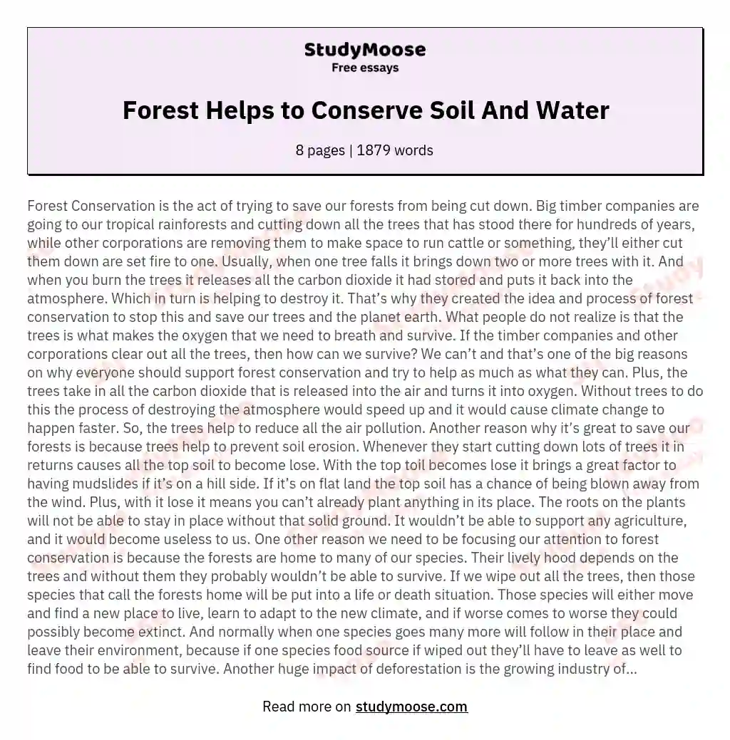 Forest Helps to Conserve Soil And Water essay