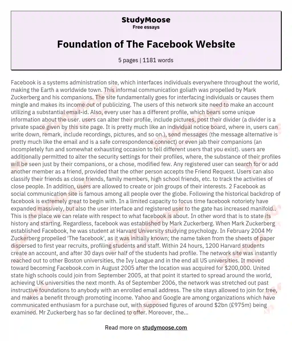 Foundation of The Facebook Website essay