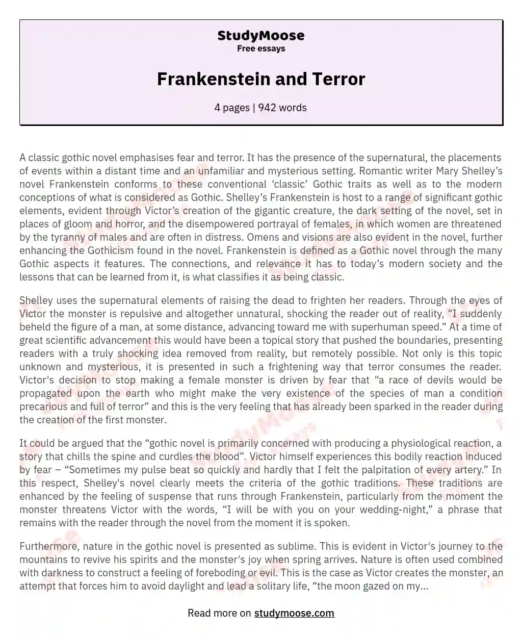 Frankenstein and Terror essay