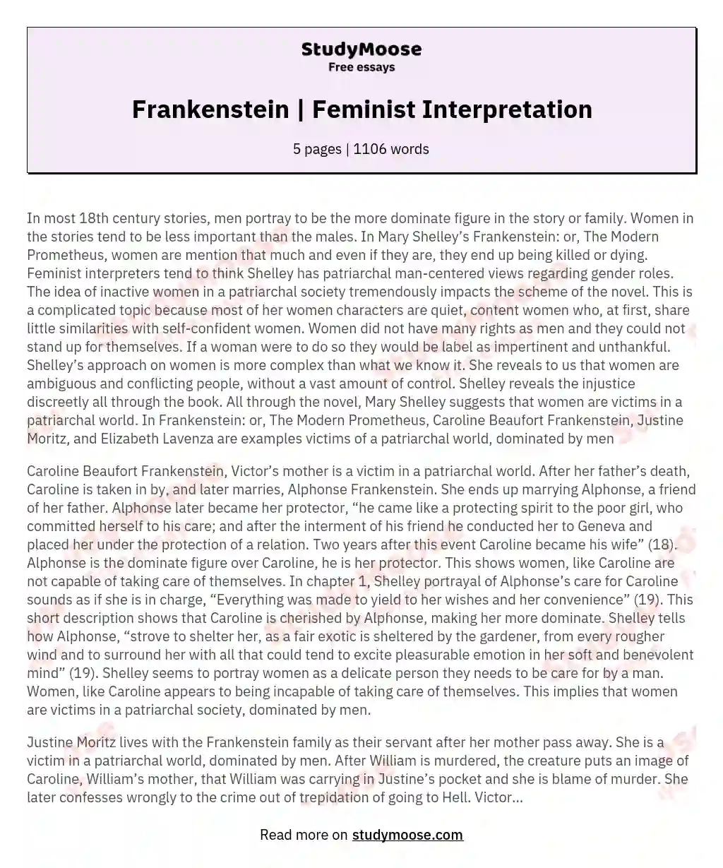 Frankenstein | Feminist Interpretation essay