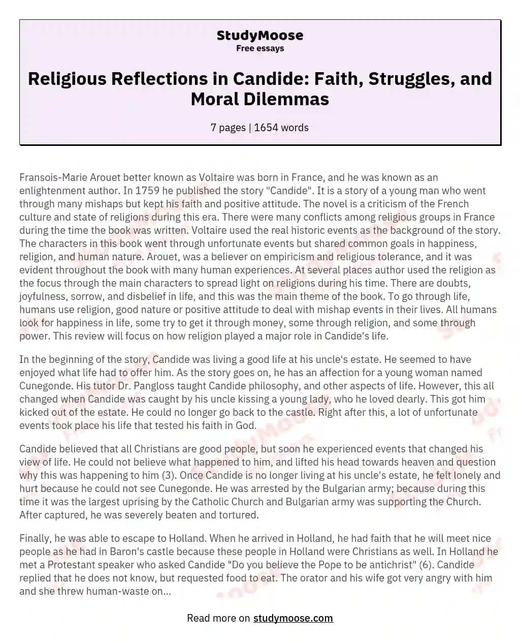 Religious Reflections in Candide: Faith, Struggles, and Moral Dilemmas essay