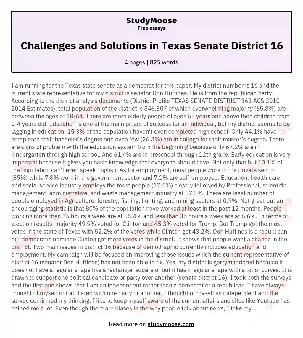 Challenges and Solutions in Texas Senate District 16 essay