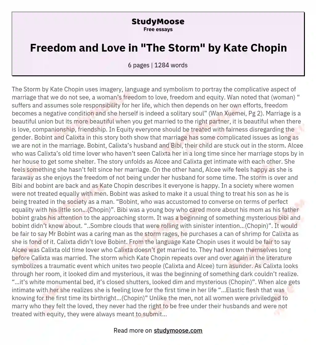 Freedom and Love in "The Storm" by Kate Chopin essay
