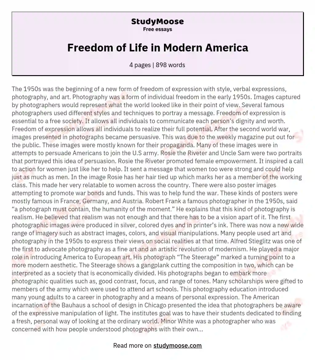 Freedom of Life in Modern America essay