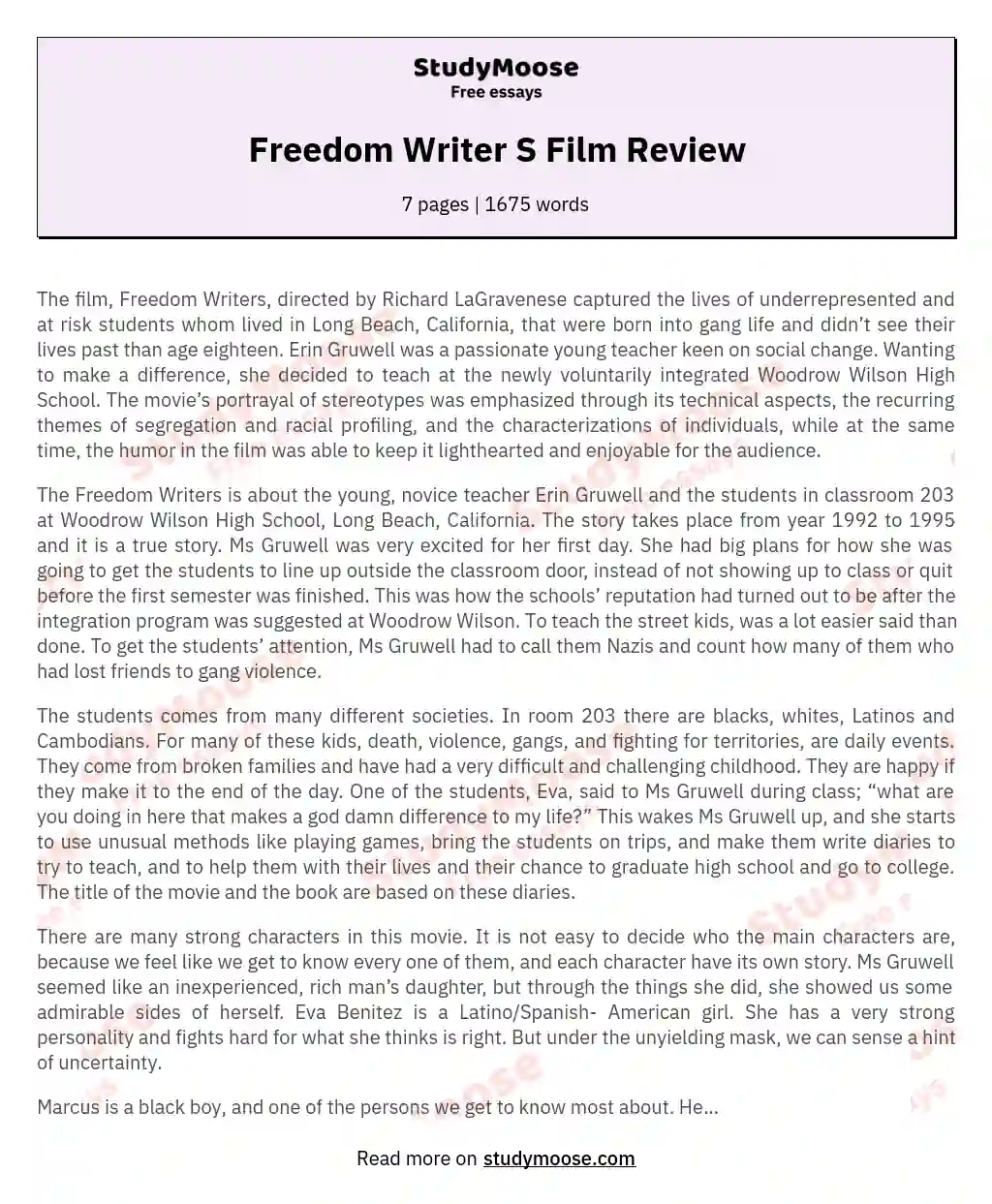 Freedom Writer S Film Review