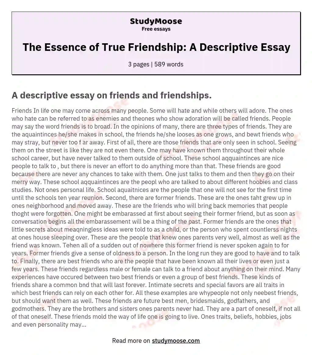 The Essence of True Friendship: A Descriptive Essay essay