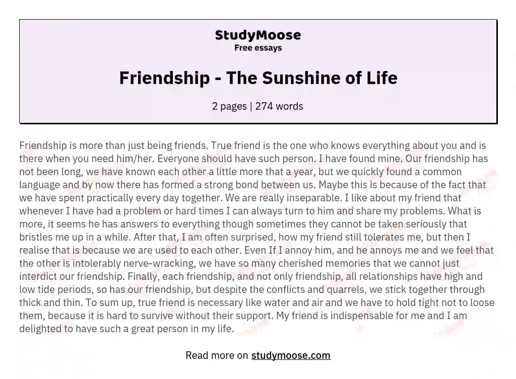 Friendship - The Sunshine of Life essay