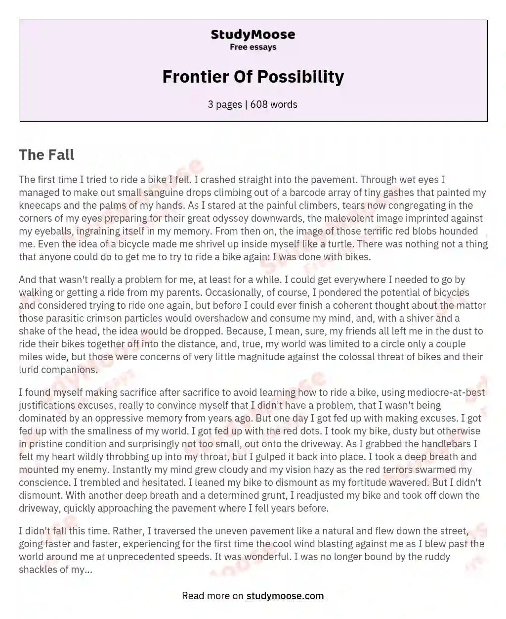 Frontier Of Possibility essay