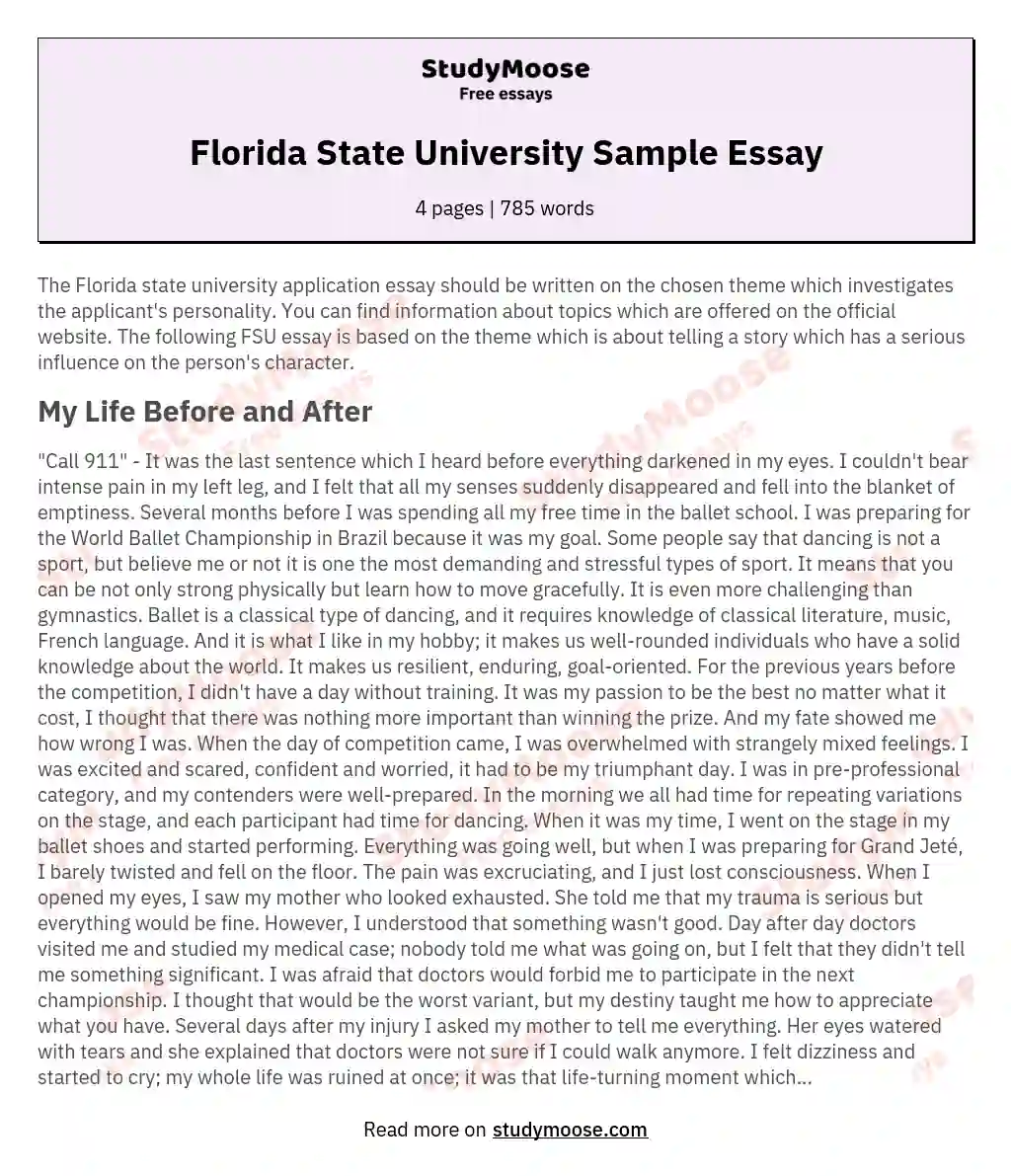 Florida State University Sample Essay essay