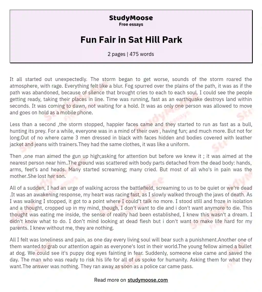 Fun Fair in Sat Hill Park essay
