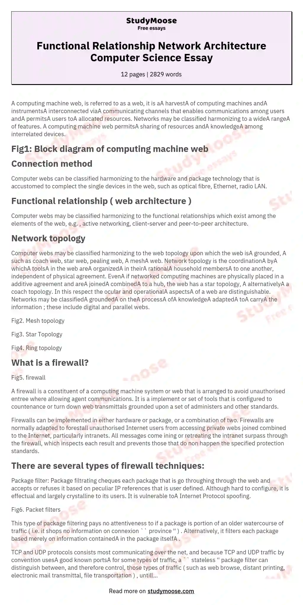 Functional Relationship Network Architecture Computer Science Essay essay