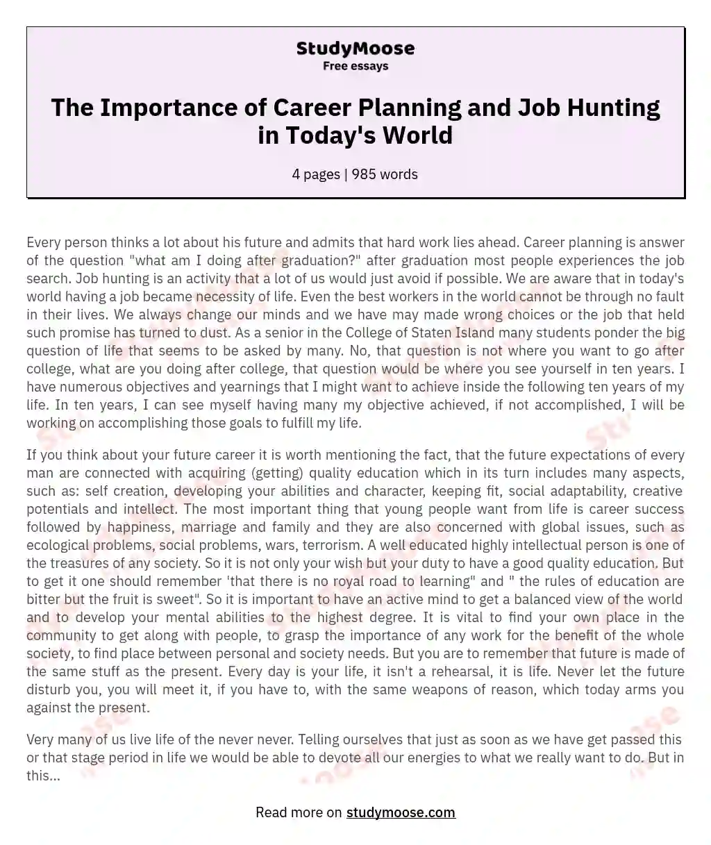 The Importance of Career Planning and Job Hunting in Today's World essay
