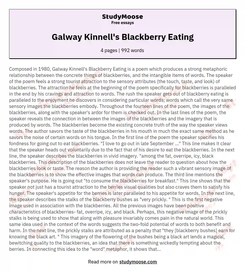 Galway Kinnell's Blackberry Eating essay
