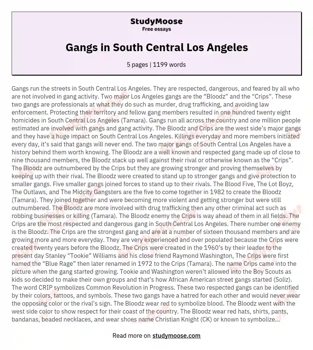 Gangs in South Central Los Angeles