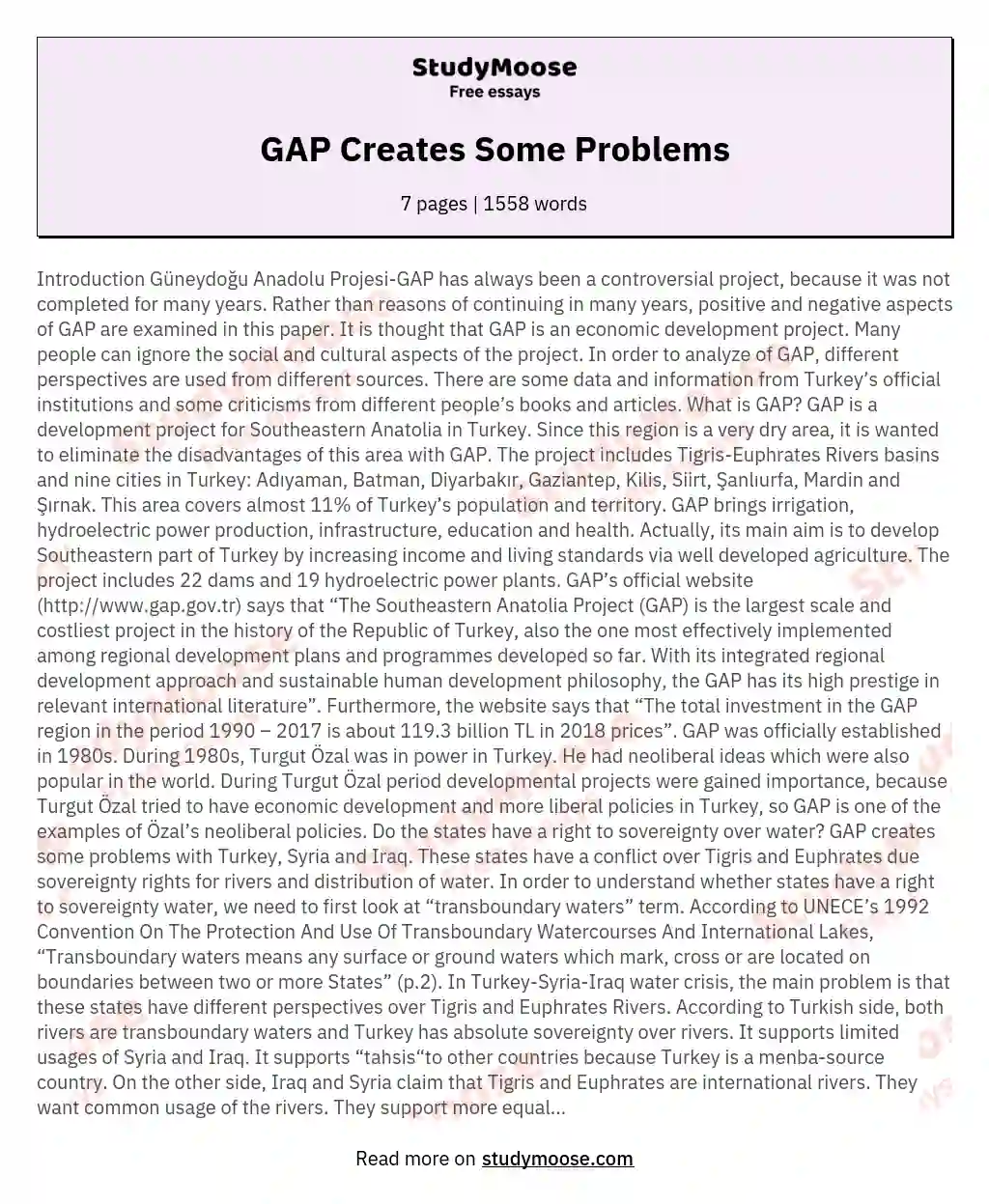 GAP Creates Some Problems essay