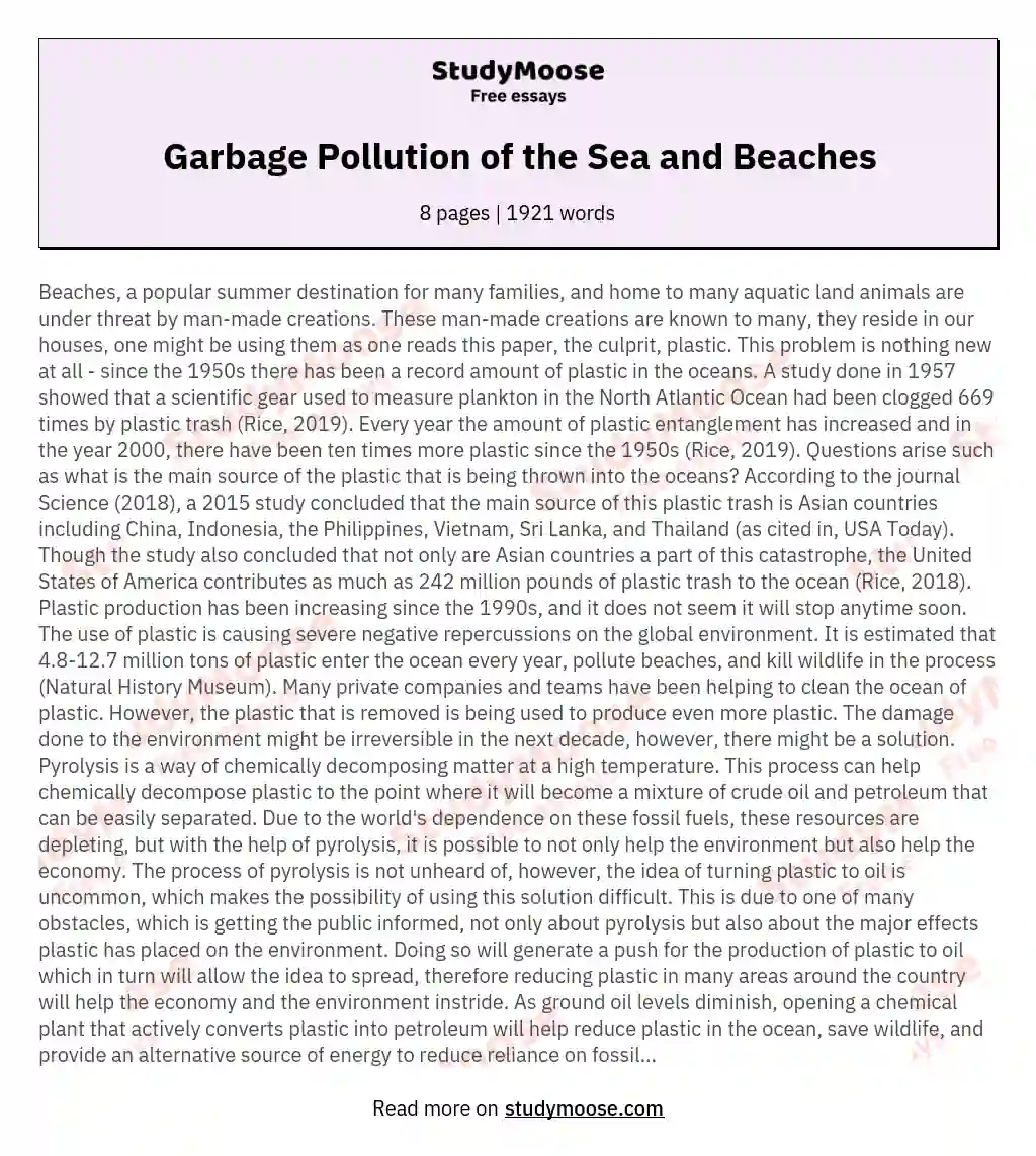 Garbage Pollution of the Sea and Beaches essay