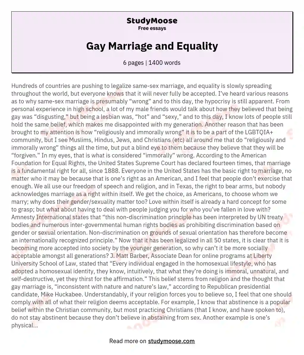 Gay Marriage and Equality essay
