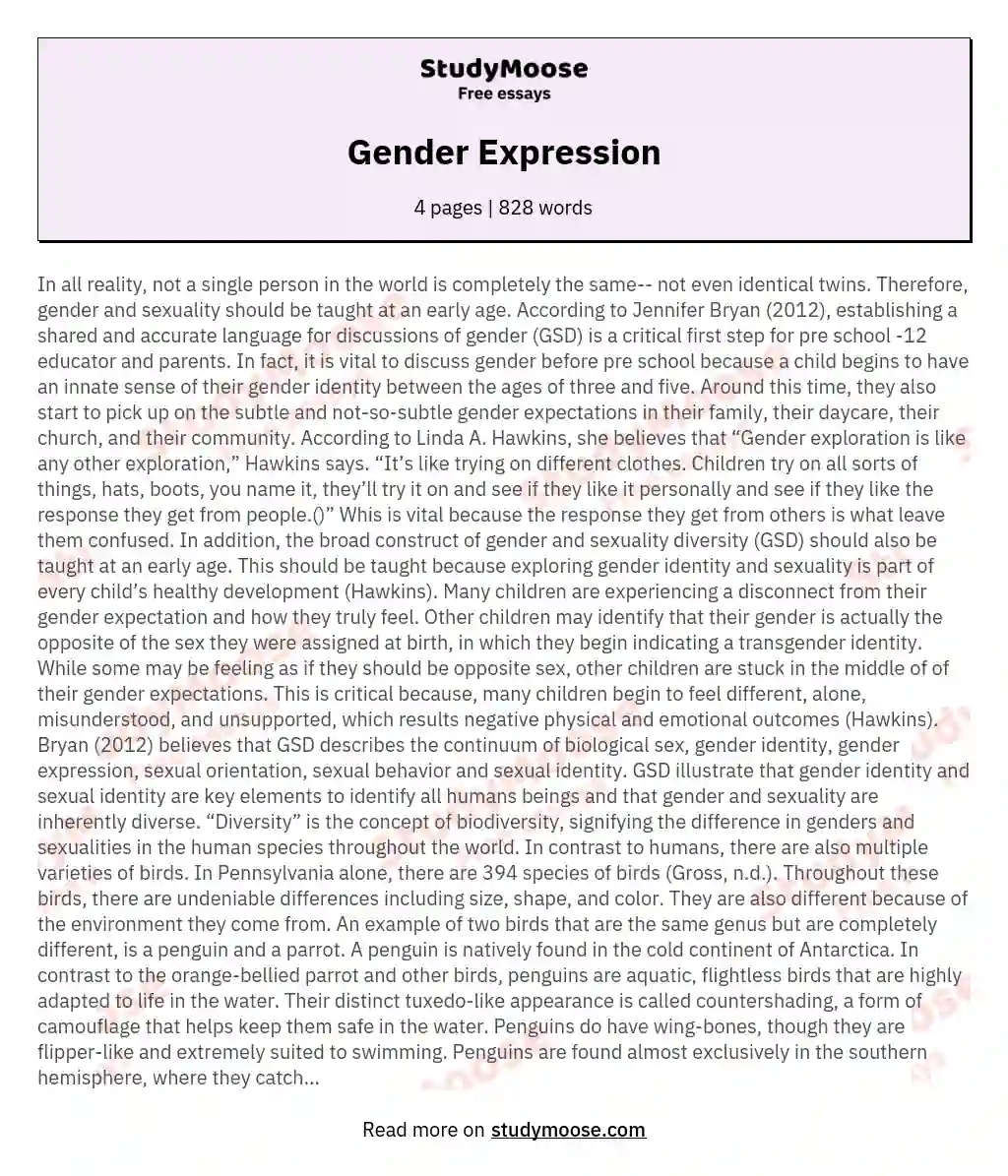 Gender Expression essay