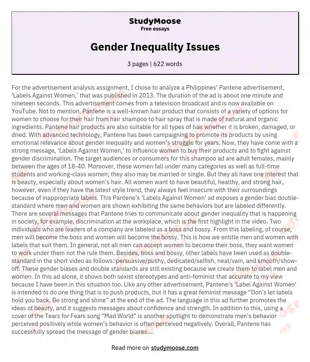 Gender Inequality Issues essay