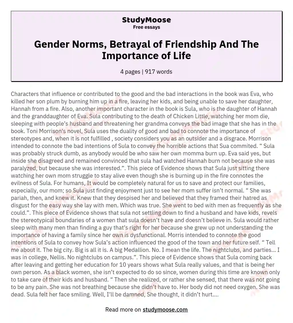 Gender Norms, Betrayal of Friendship And The Importance of Life essay