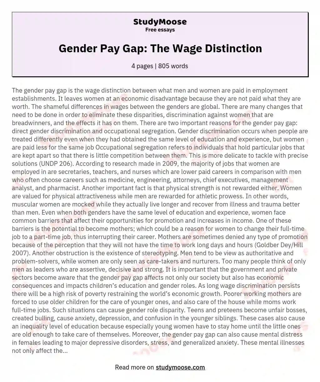 Gender Pay Gap: The Wage Distinction essay