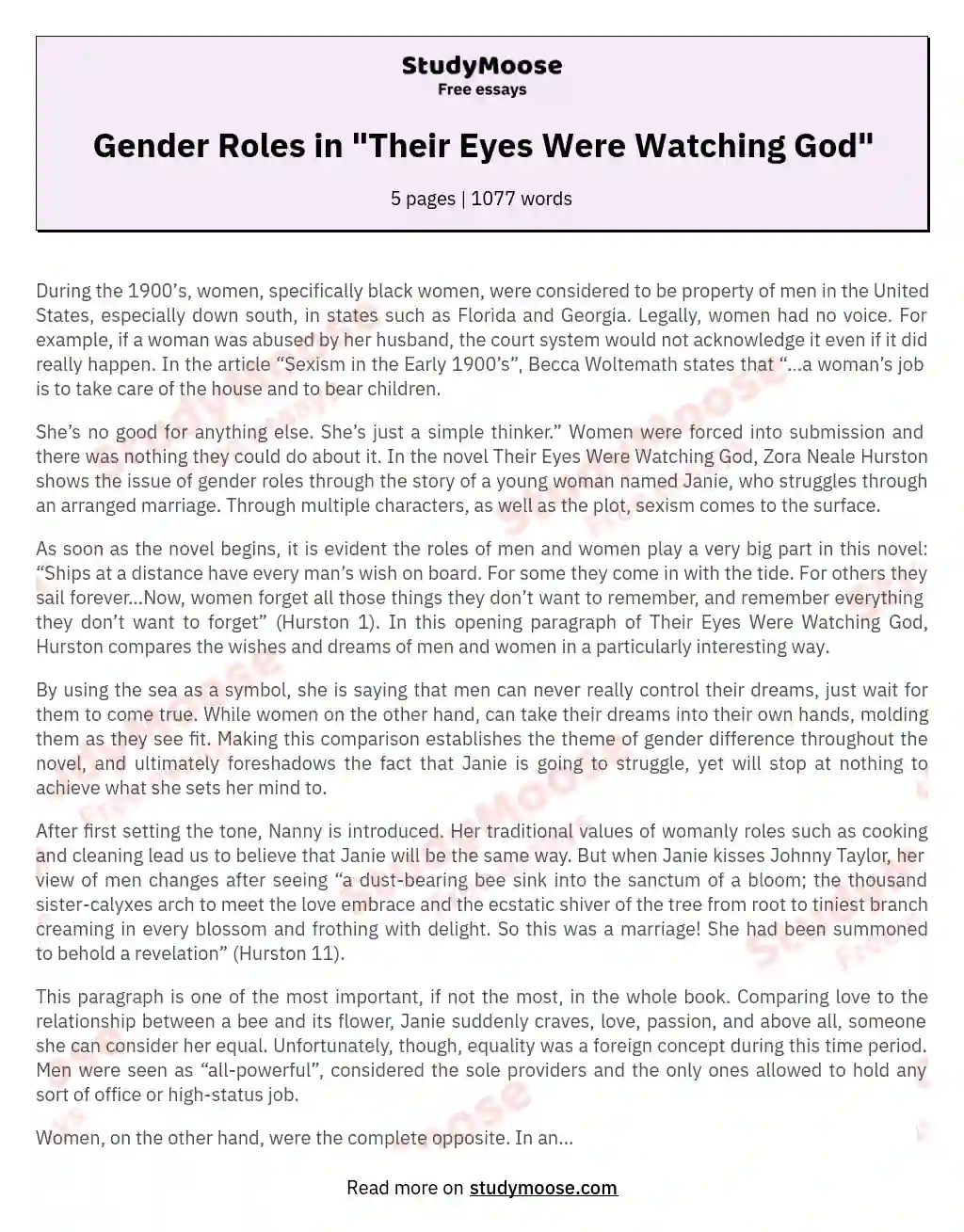 Gender Roles in "Their Eyes Were Watching God" essay
