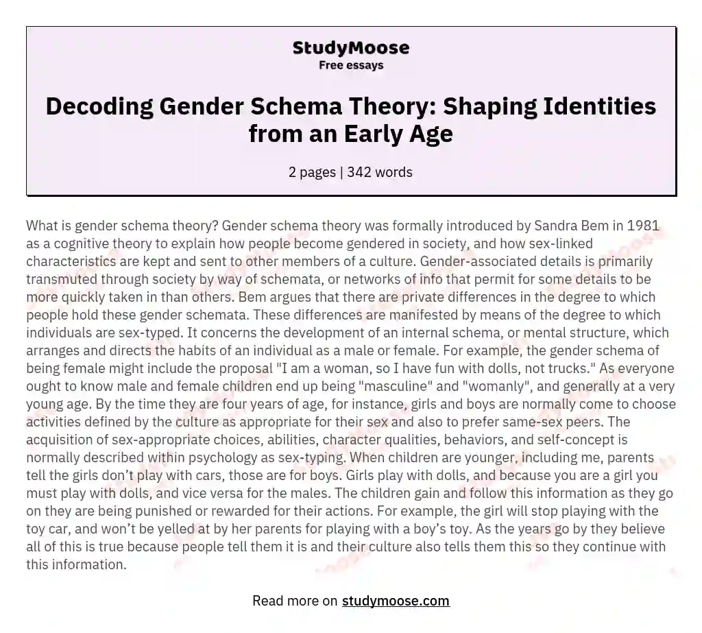 Decoding Gender Schema Theory: Shaping Identities from an Early Age essay