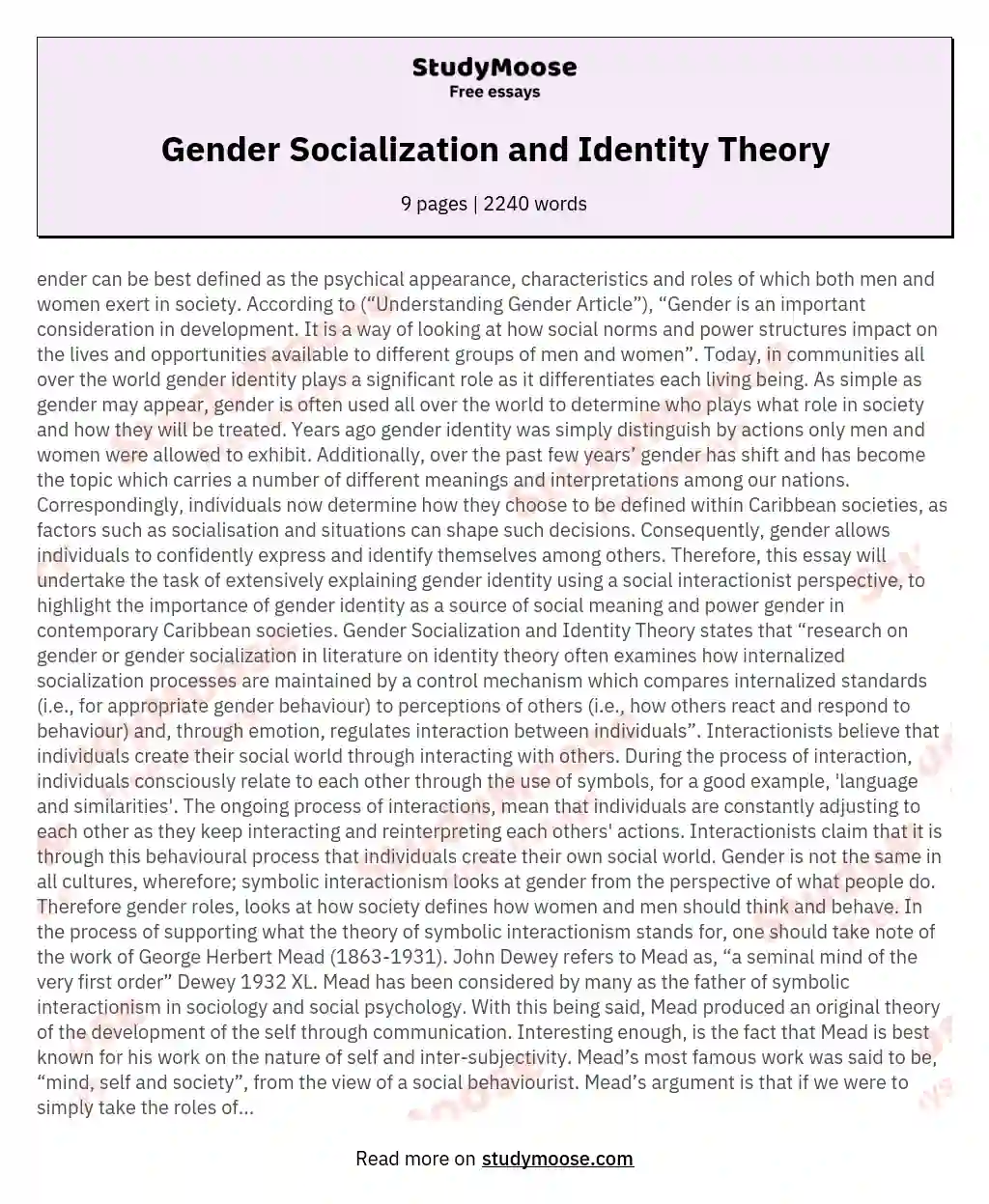 Gender Socialization and Identity Theory essay