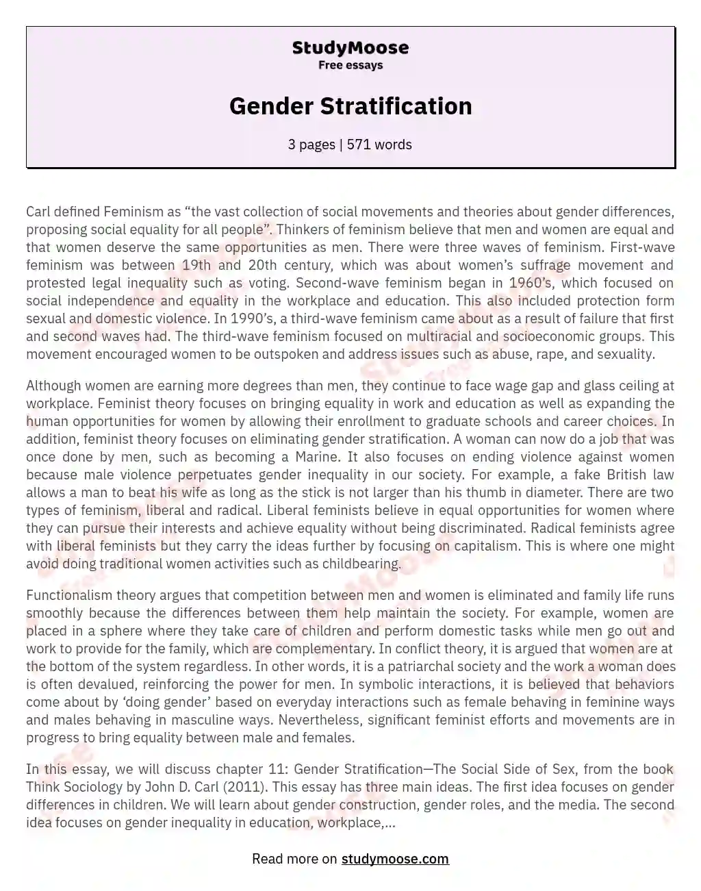 Gender Stratification essay