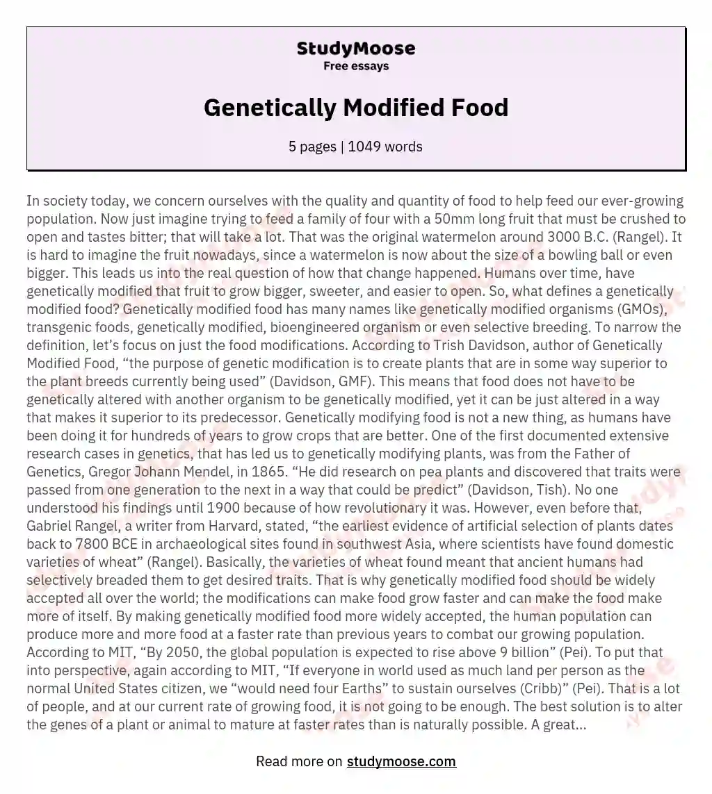 Genetically Modified Food essay