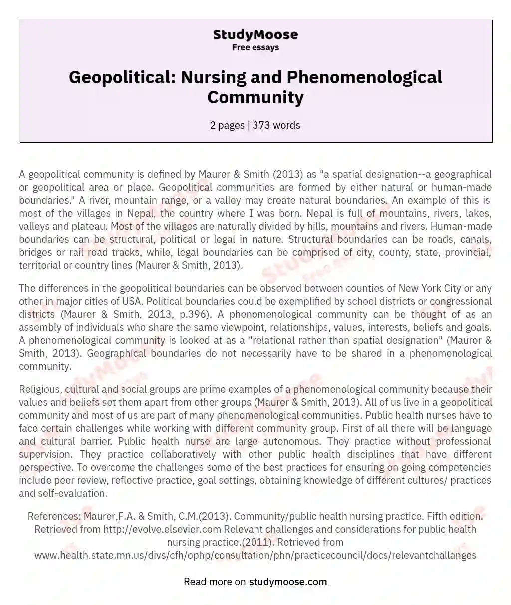 Geopolitical: Nursing and Phenomenological Community essay