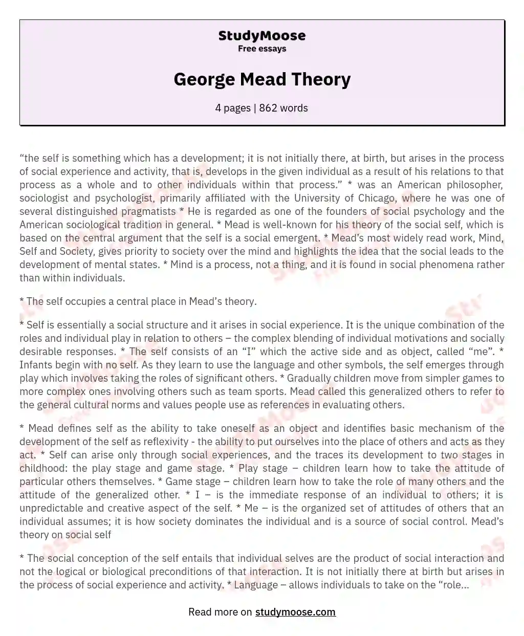 George Mead Theory essay