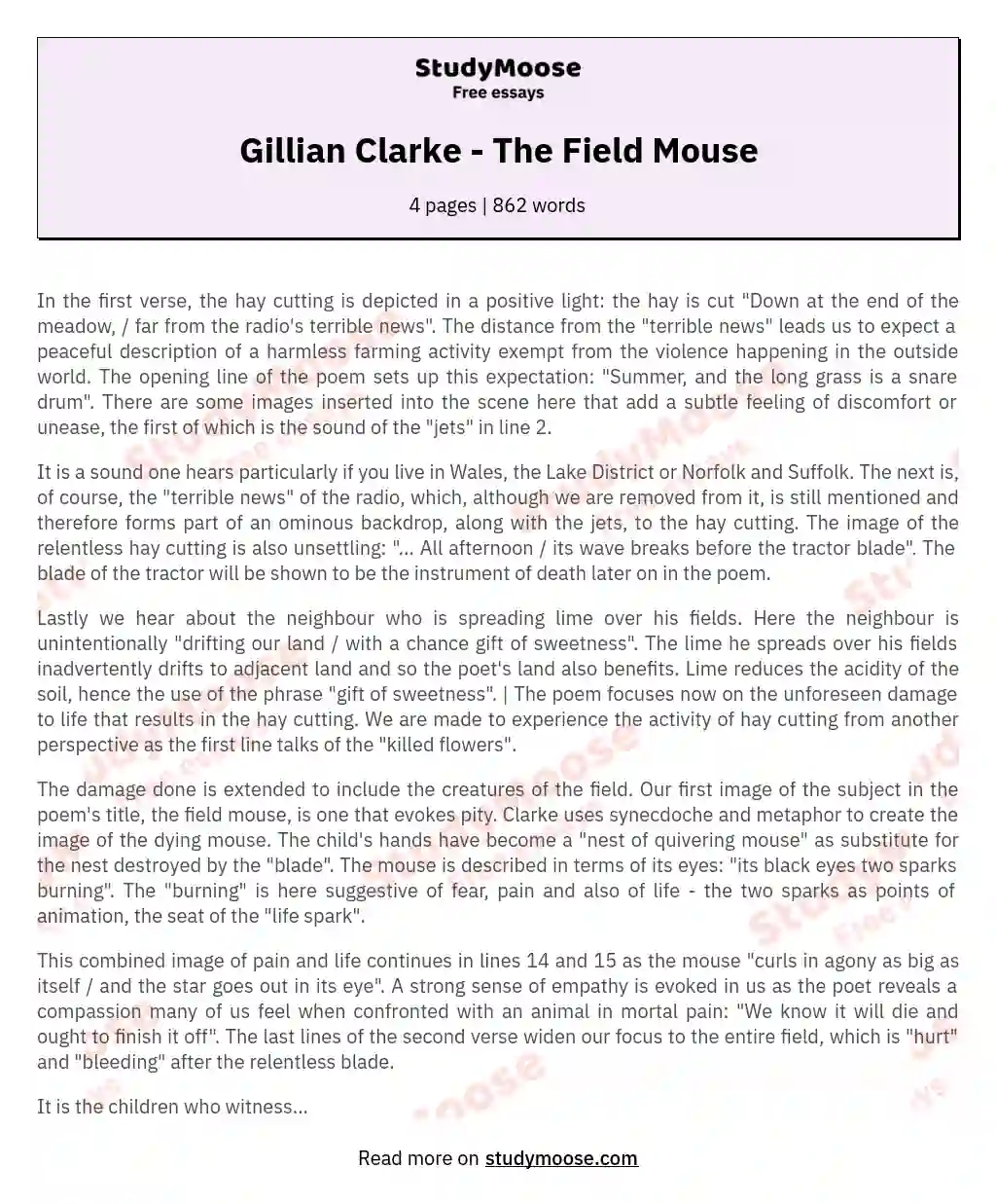 Gillian Clarke - The Field Mouse essay