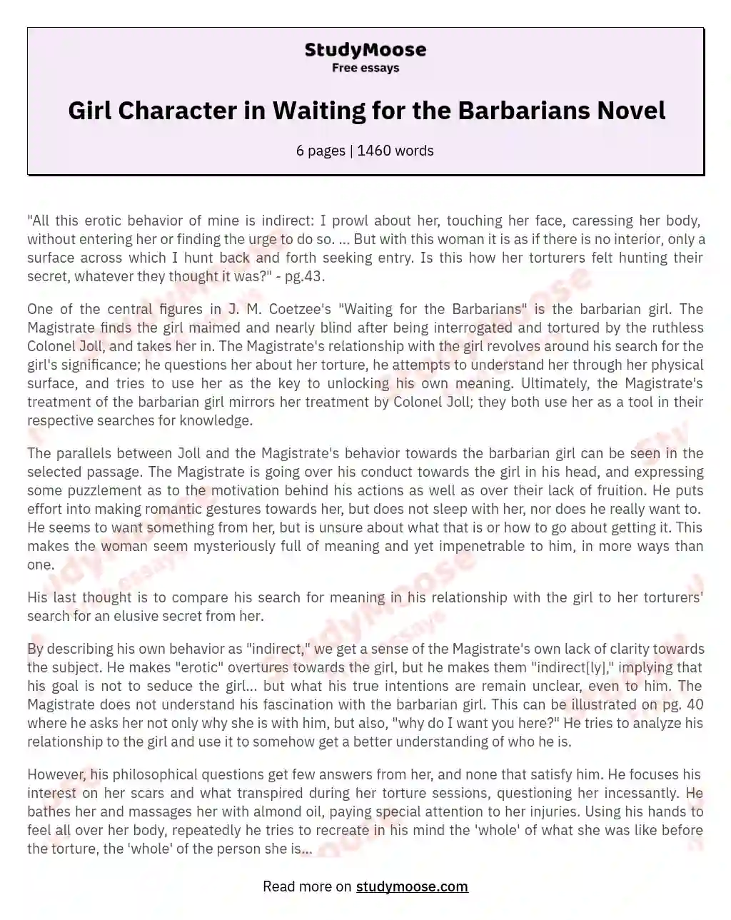 Girl Character in Waiting for the Barbarians Novel