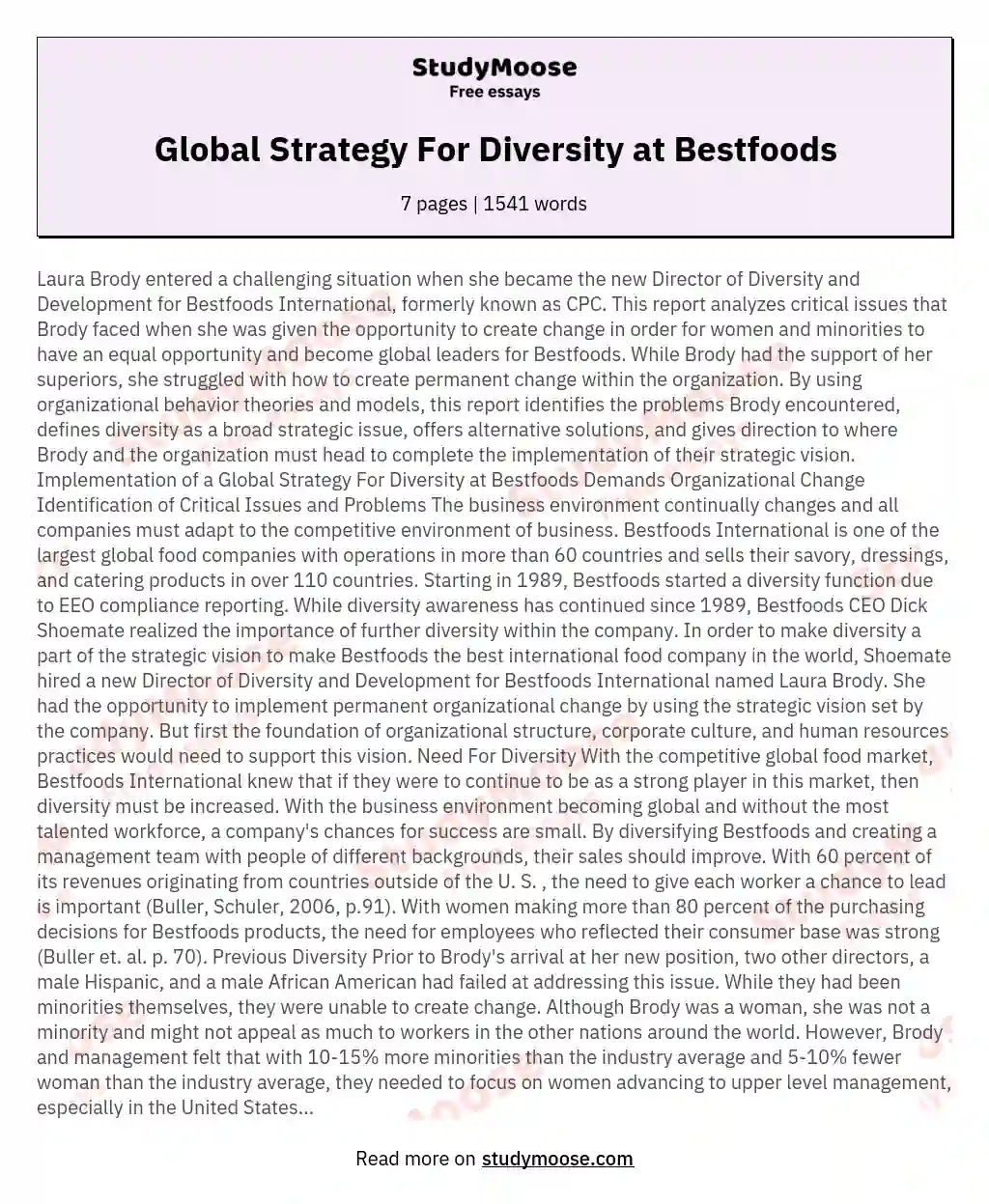 Global Strategy For Diversity at Bestfoods essay