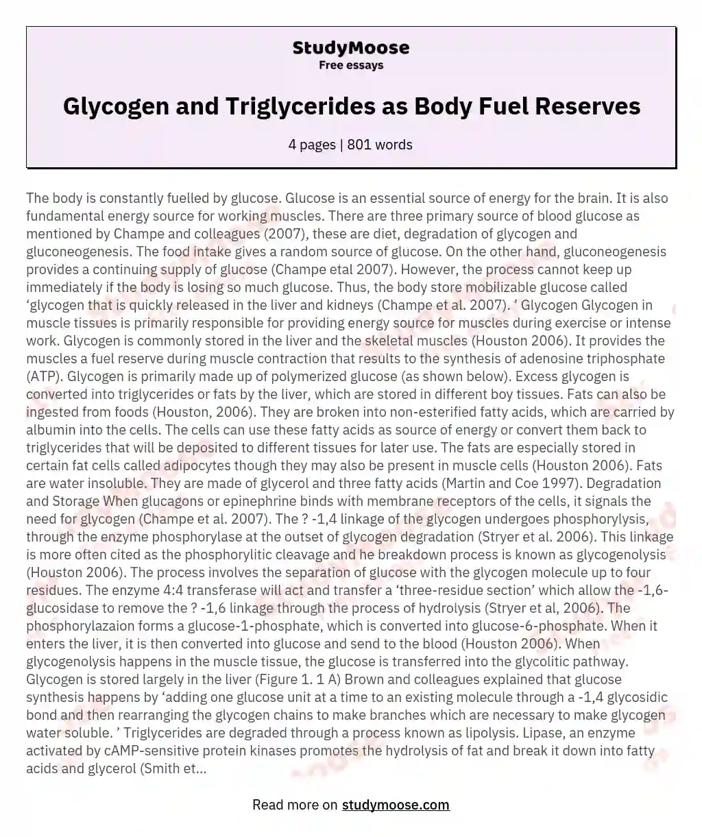 Glycogen and Triglycerides as Body Fuel Reserves essay