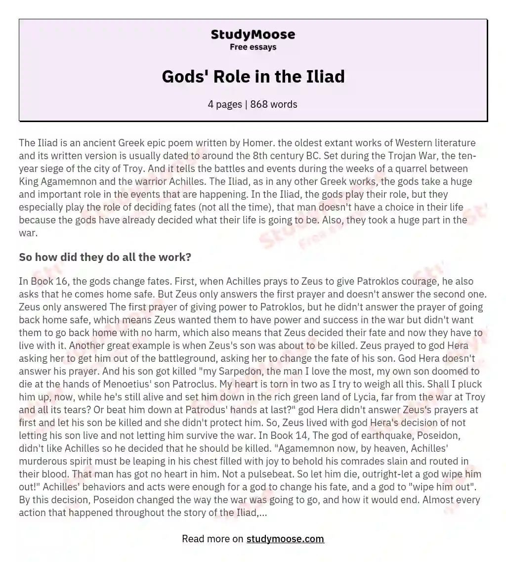 Gods' Role in the Iliad essay