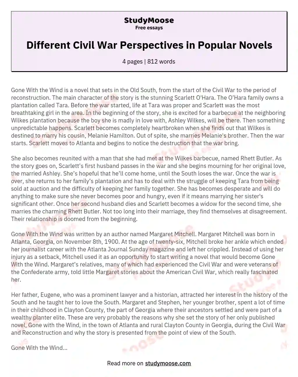 Different Civil War Perspectives in Popular Novels essay