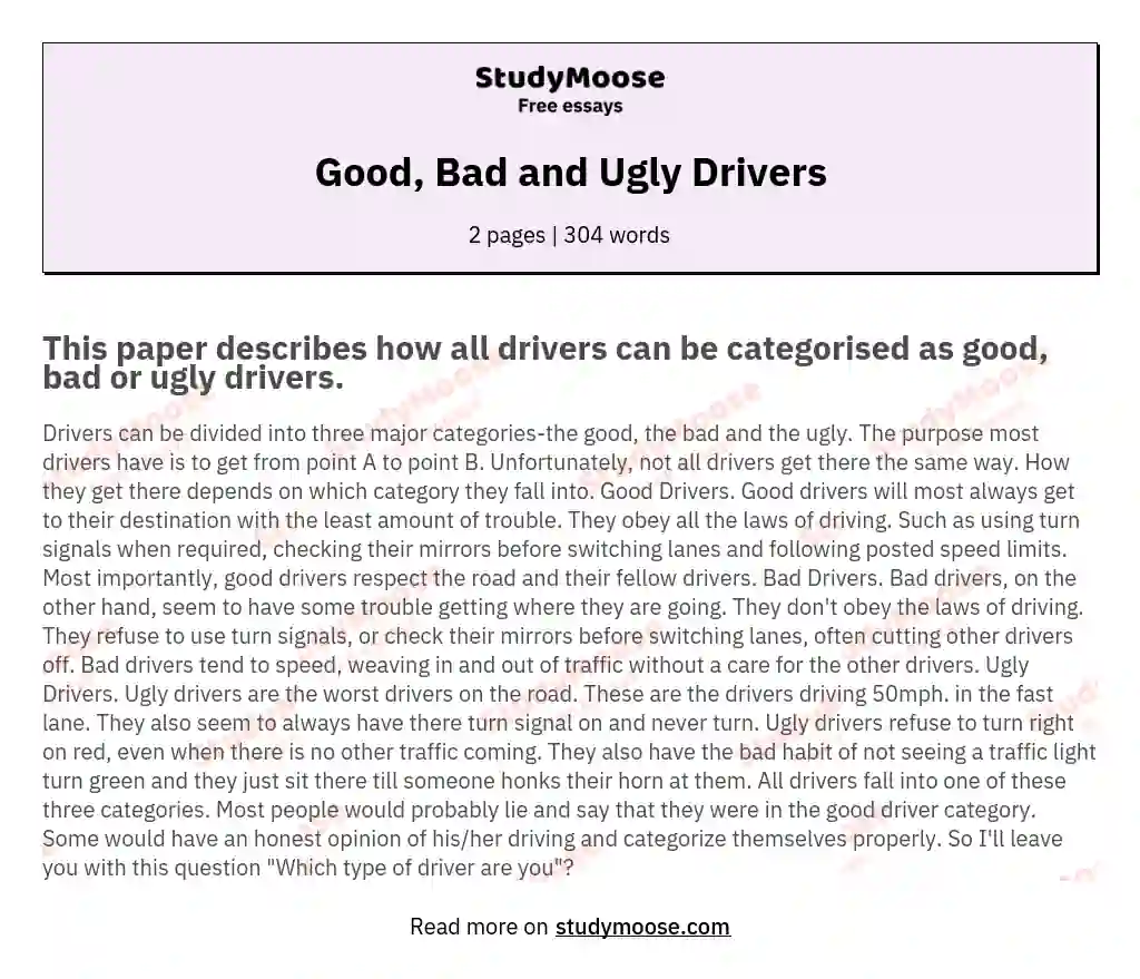Good, Bad and Ugly Drivers essay