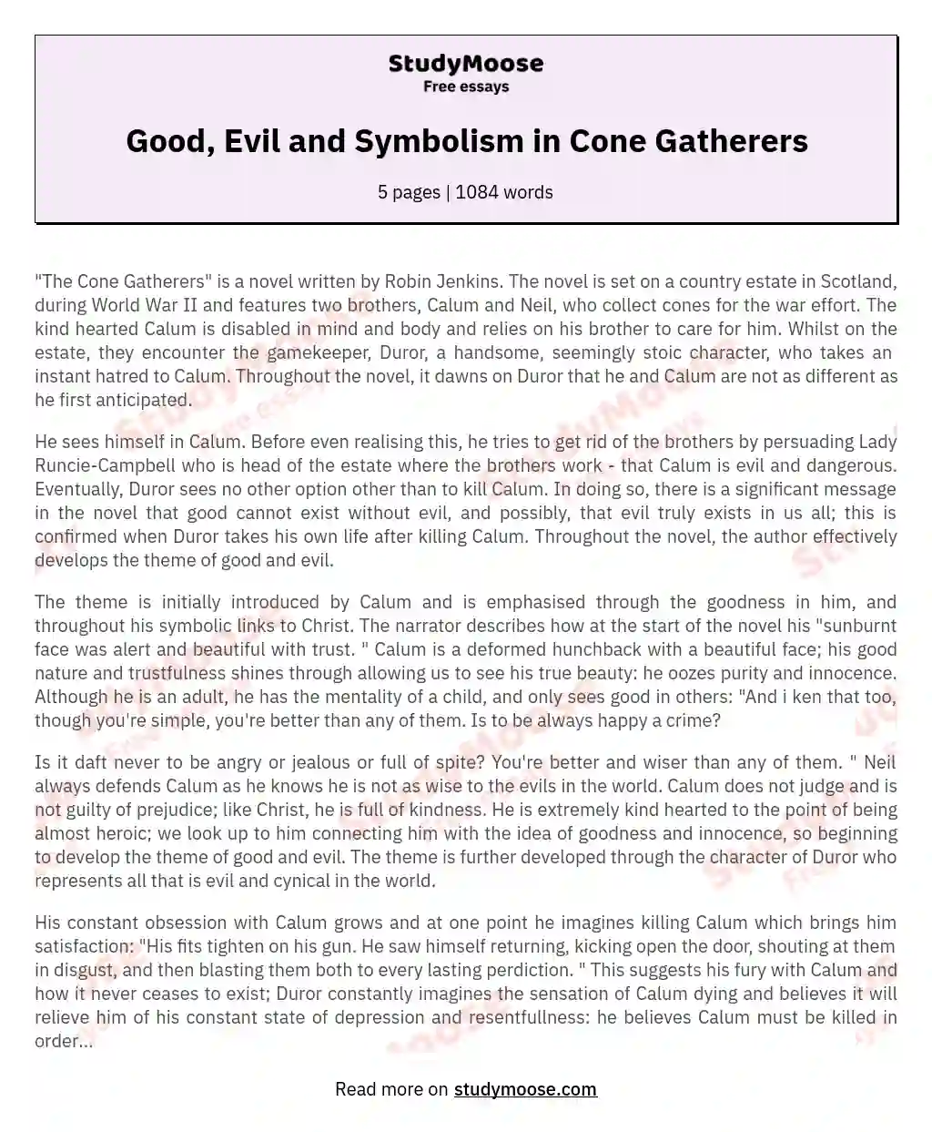Good, Evil and Symbolism in Cone Gatherers essay
