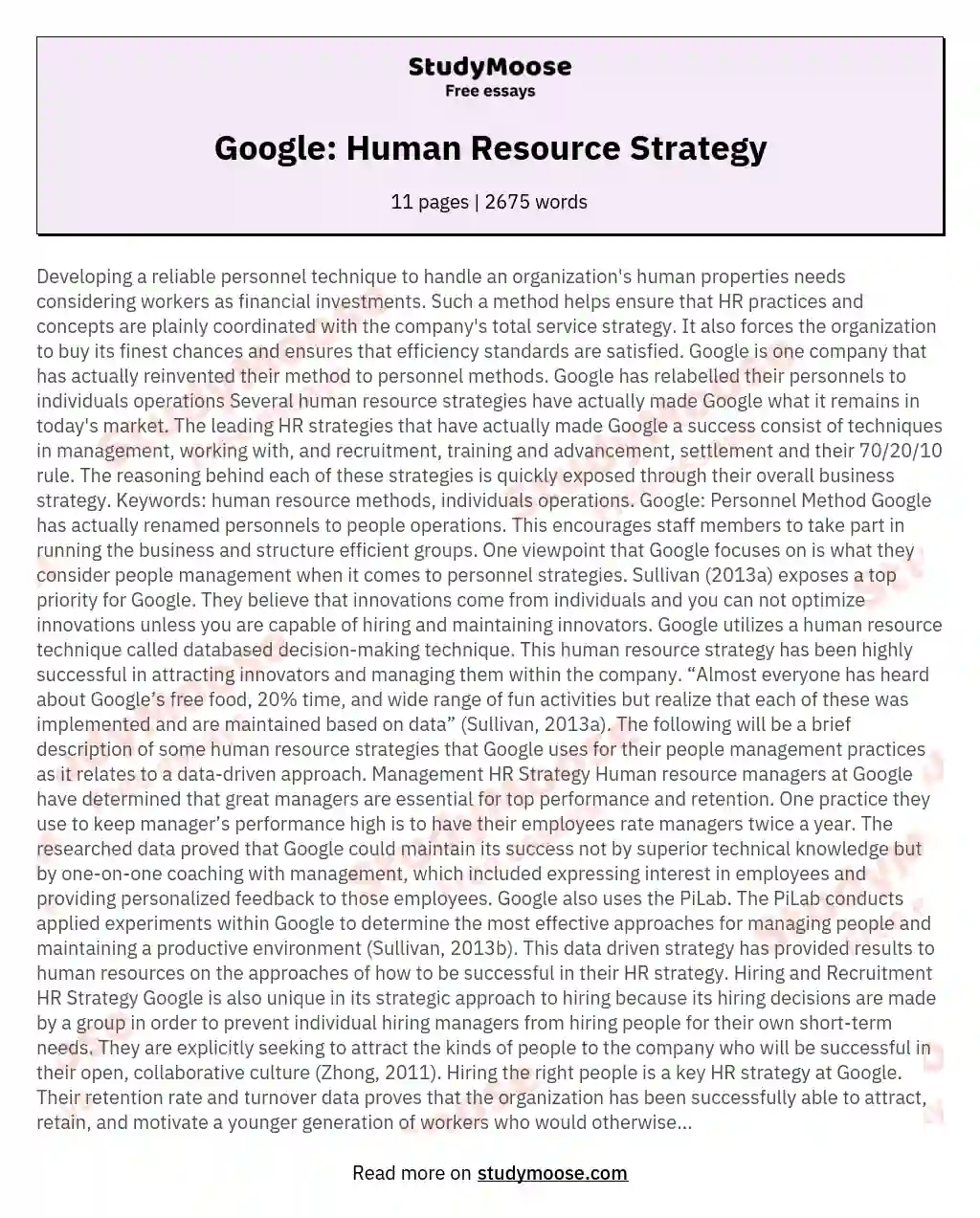 Google: Human Resource Strategy essay